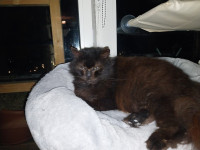 /album/14-03-2026/whatsapp-image-2026-03-13-at-22-11-27-1-jpeg/